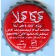 Iran Tehran Khoshgovar Coca-Cola Coke with Persian Inscription Used Bottle Crown Cap